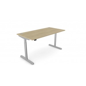 Sit Stand Desks